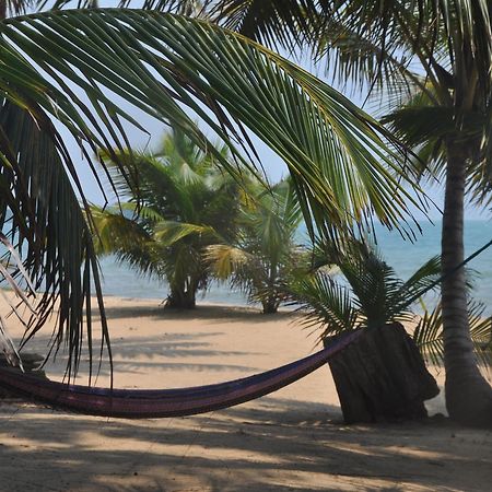 Sabal Beach Monkey River Town Exterior photo