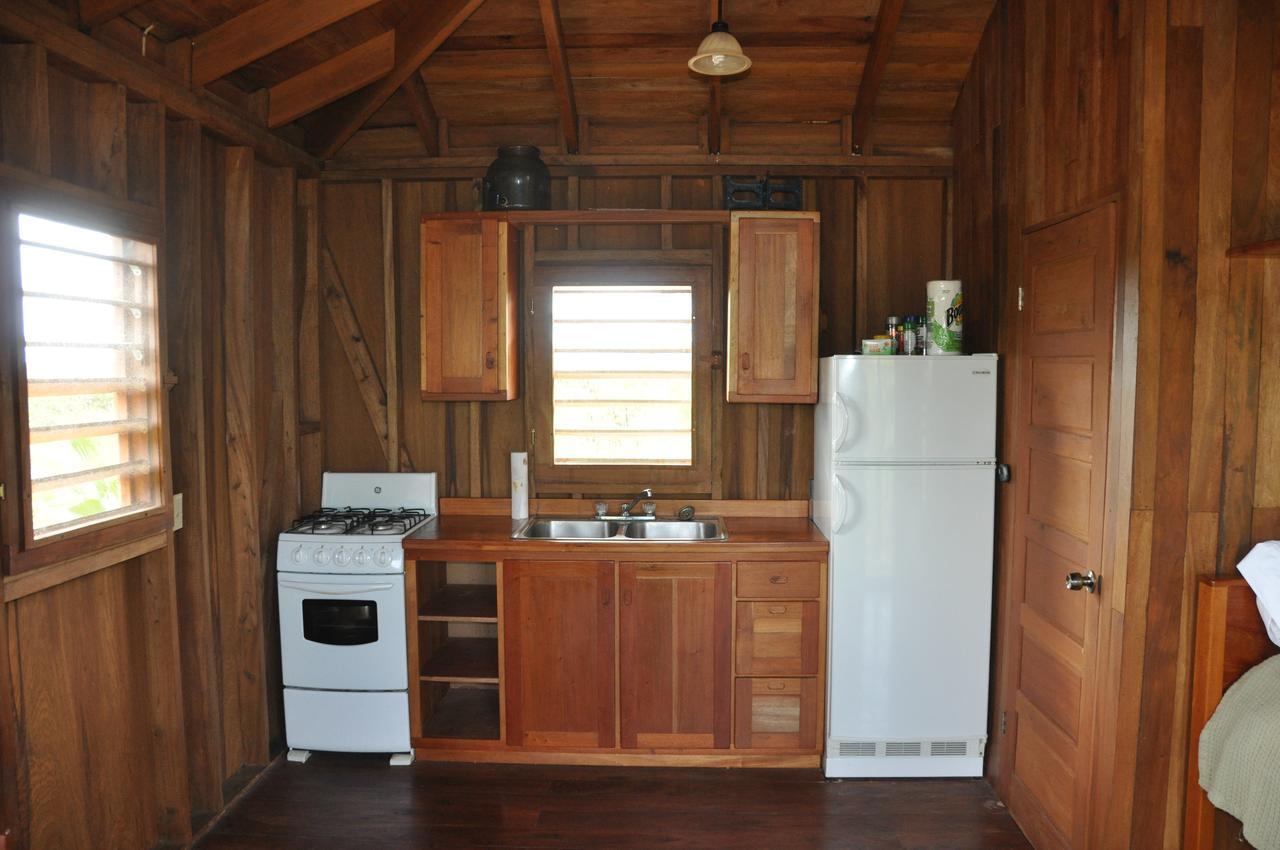 Sabal Beach Monkey River Town Room photo