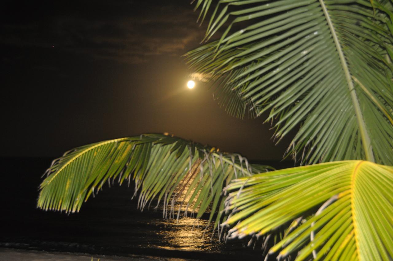 Sabal Beach Monkey River Town Exterior photo