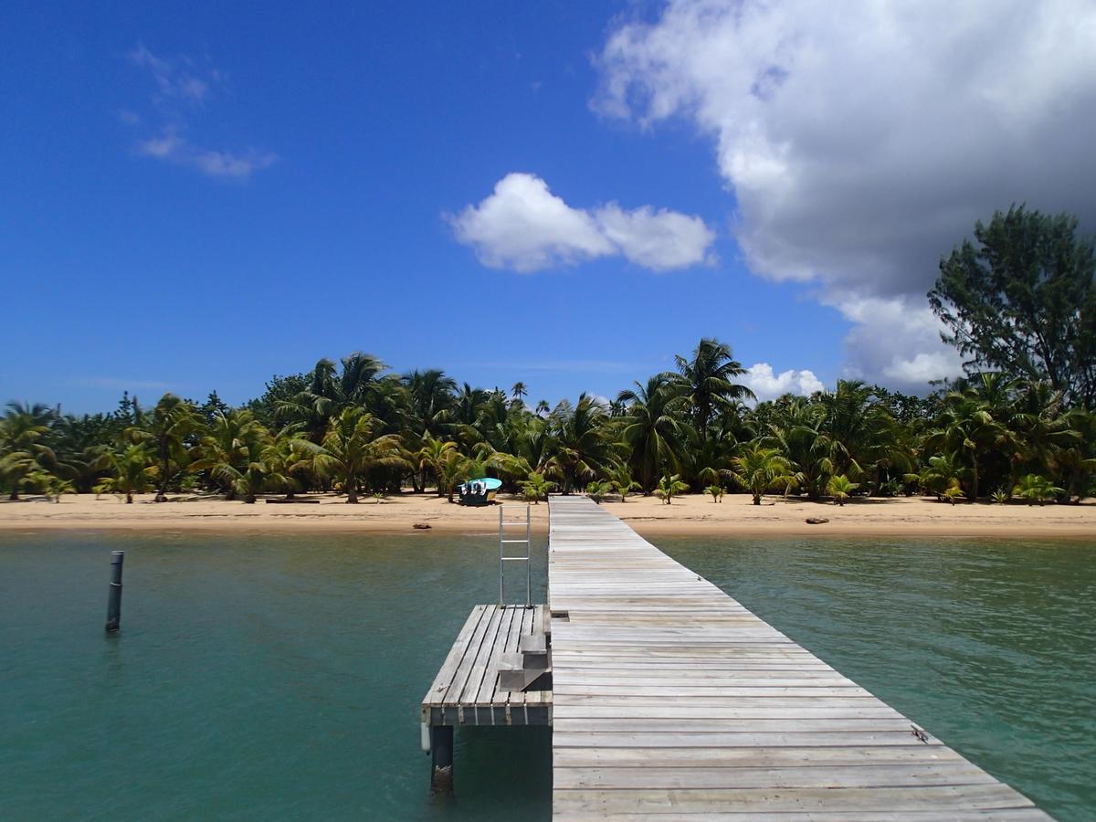 Sabal Beach Monkey River Town Exterior photo