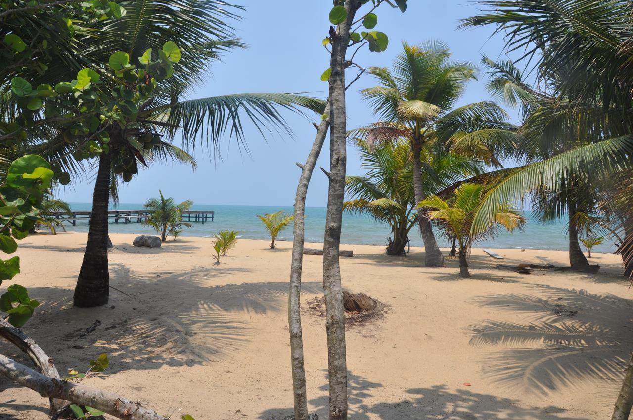 Sabal Beach Monkey River Town Exterior photo