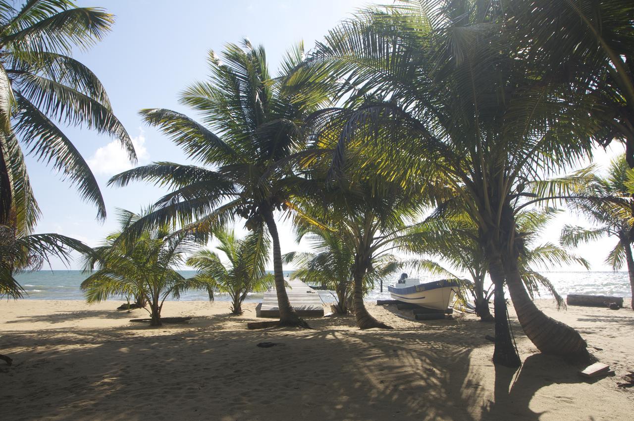 Sabal Beach Monkey River Town Exterior photo